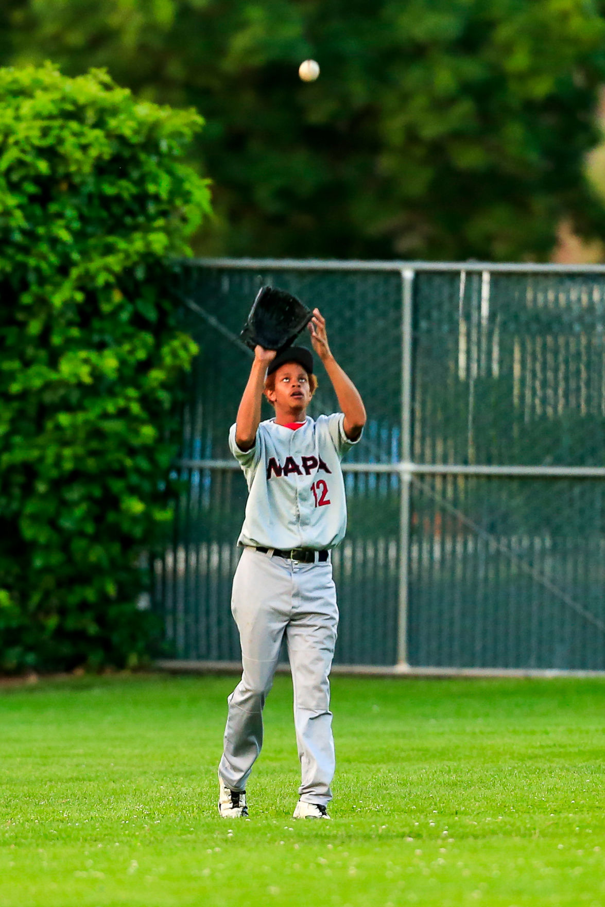Sonoma Stompers vs. Napa Silverados